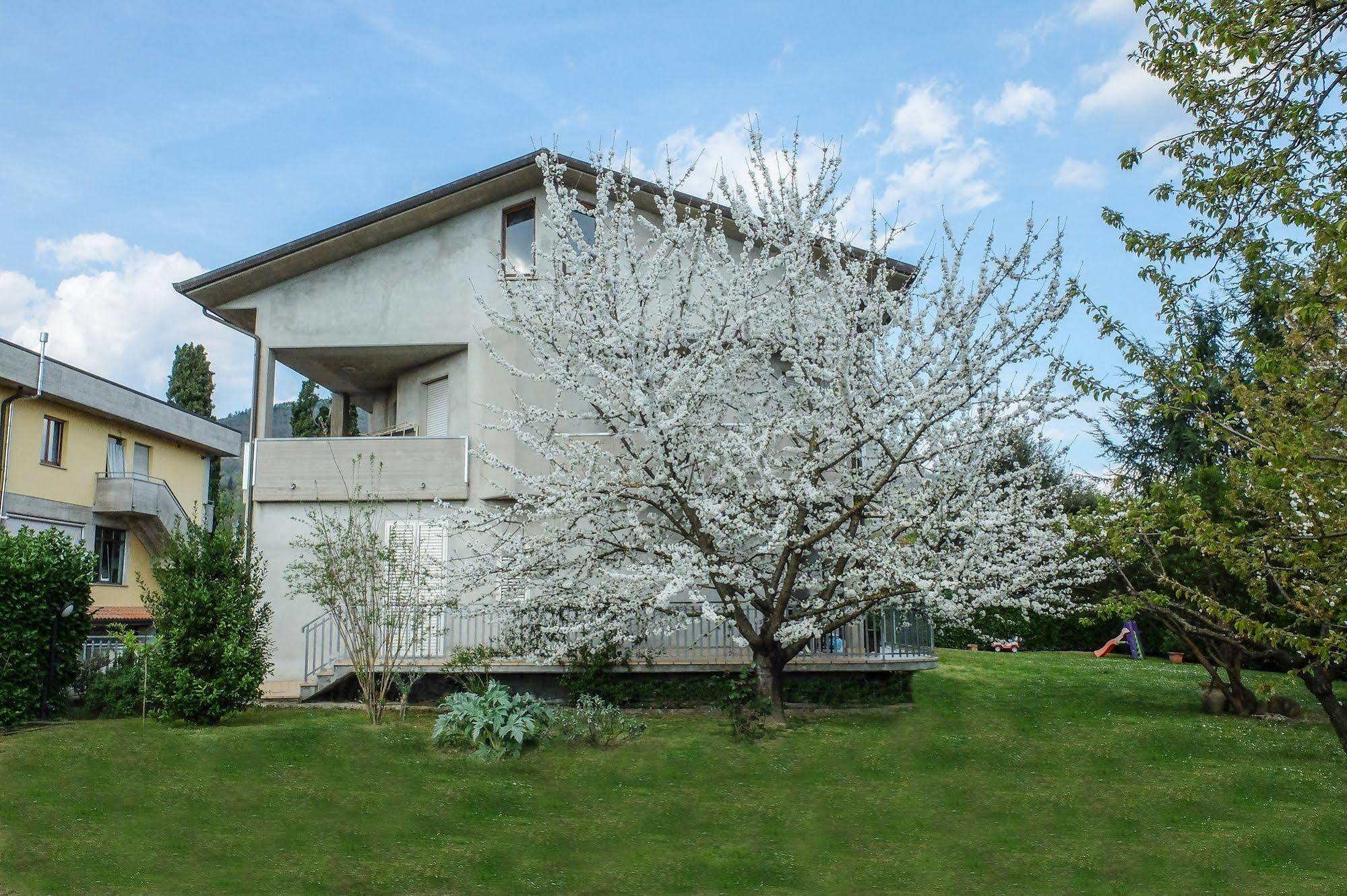 B&B I Fiori San Giustino Buitenkant foto